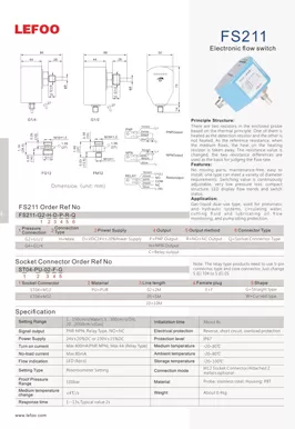 Elektronischer Durchfluss schalter FS211