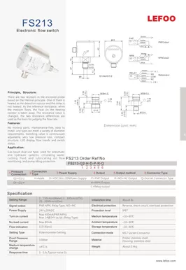Elektronischer Durchfluss schalter FS213