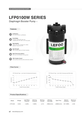 LEFOO 12V 100GPD LFP0100W