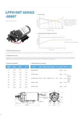 LEFOO 12V On Demand Liefer pumpe