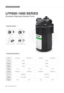 LEFOO 24V 600-1000GPD Serie bürsten los
