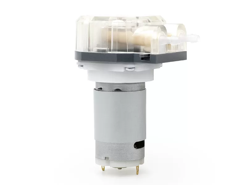 Lfp203db Gleichstrom motor perist altis che Pumpe Preis