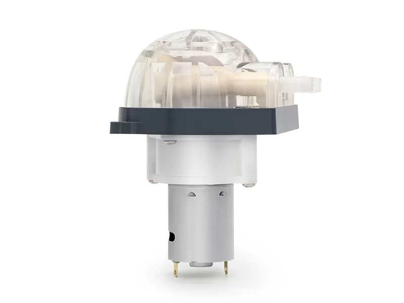 Lfp303db Gleichstrom motor perist altis che Pumpe in China