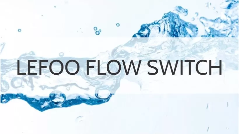 the-flow-switch-1.jpg