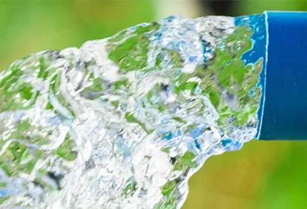 Vane Typ Durchfluss schalter